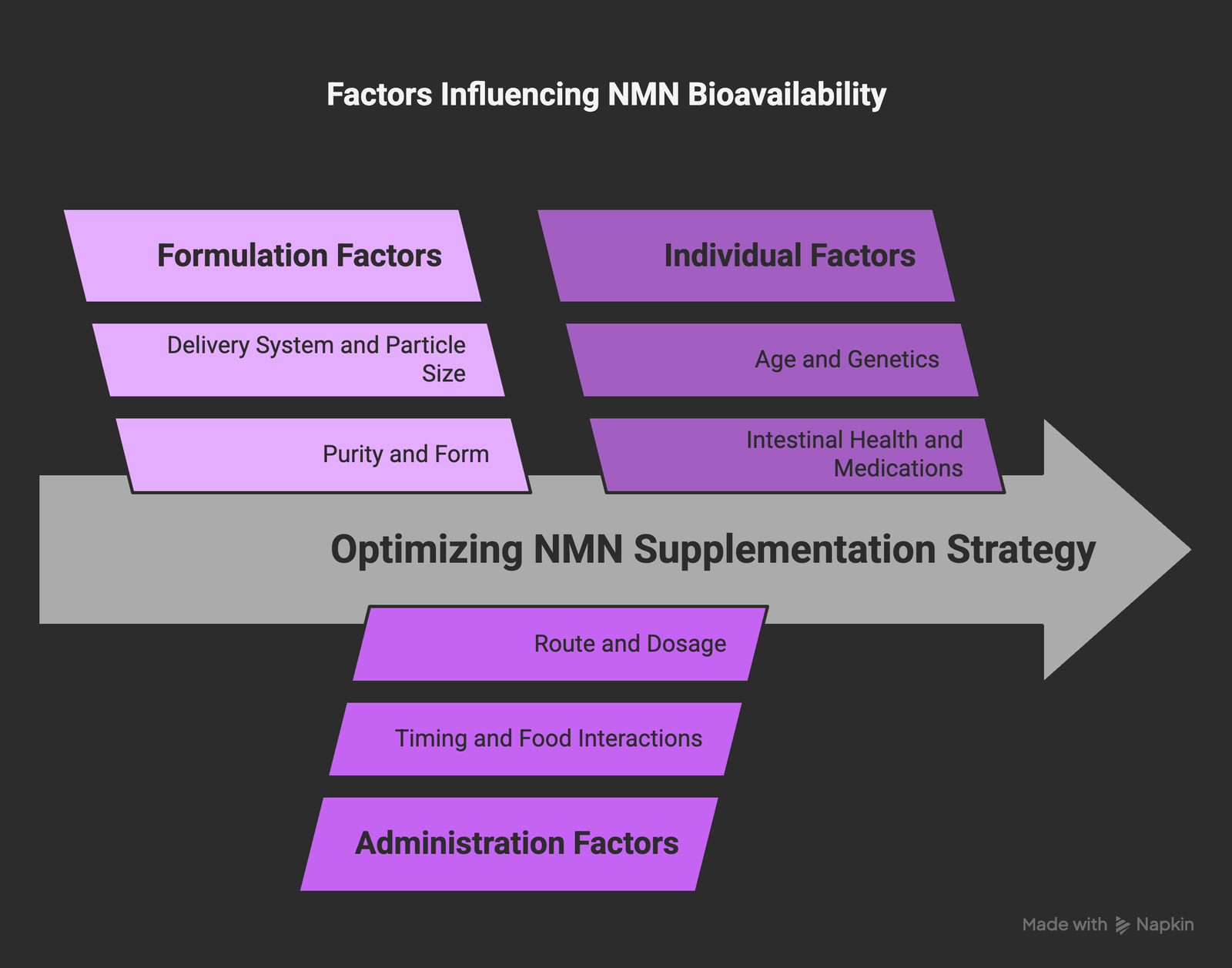 Factors affecting NMN bioavailability including formulation, administration, and individual factors
