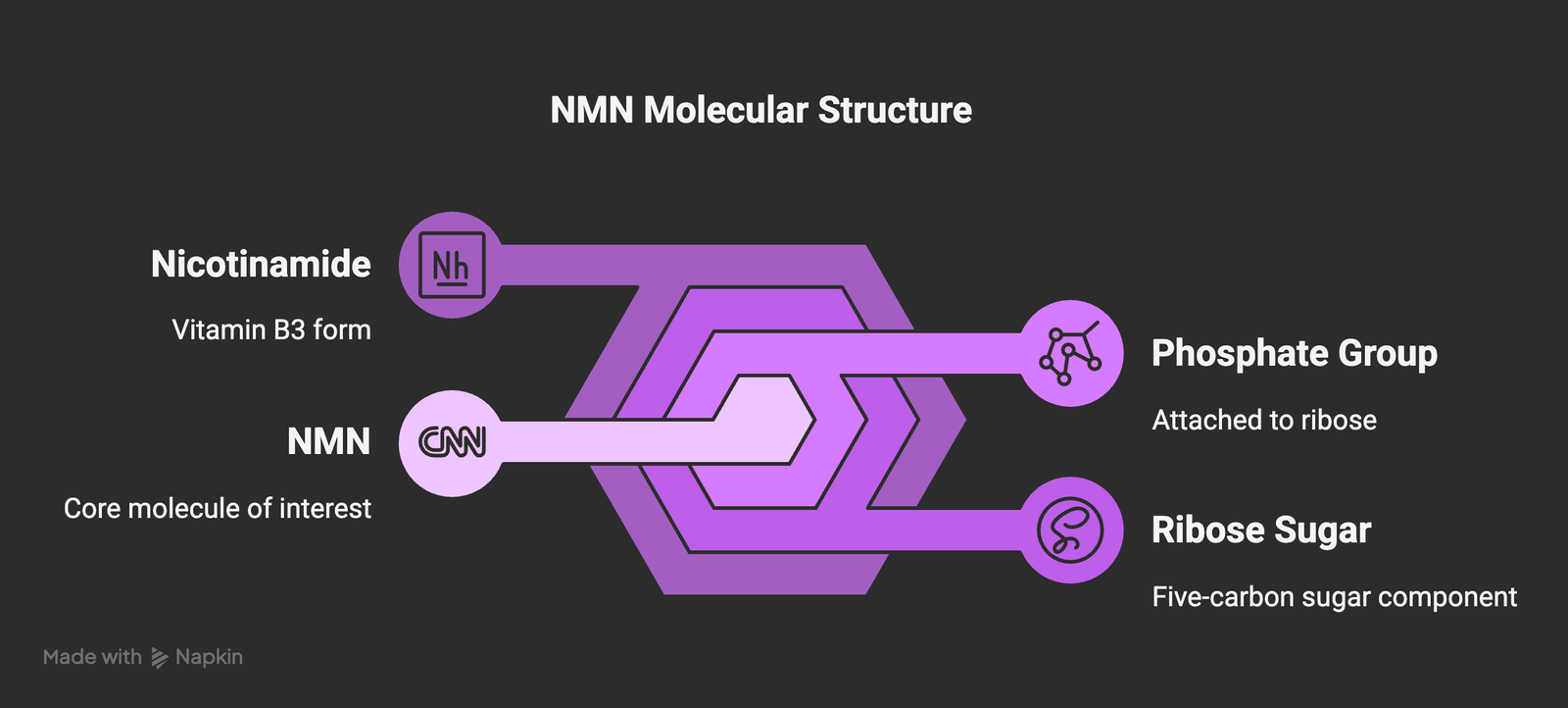 Molecular structure of NMN
