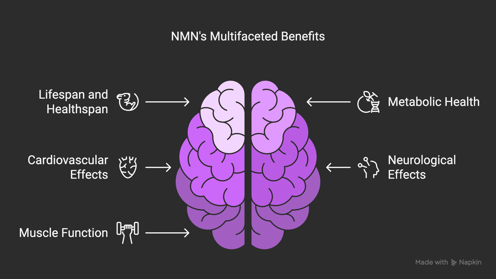 NMN's Multifaceted Benefits