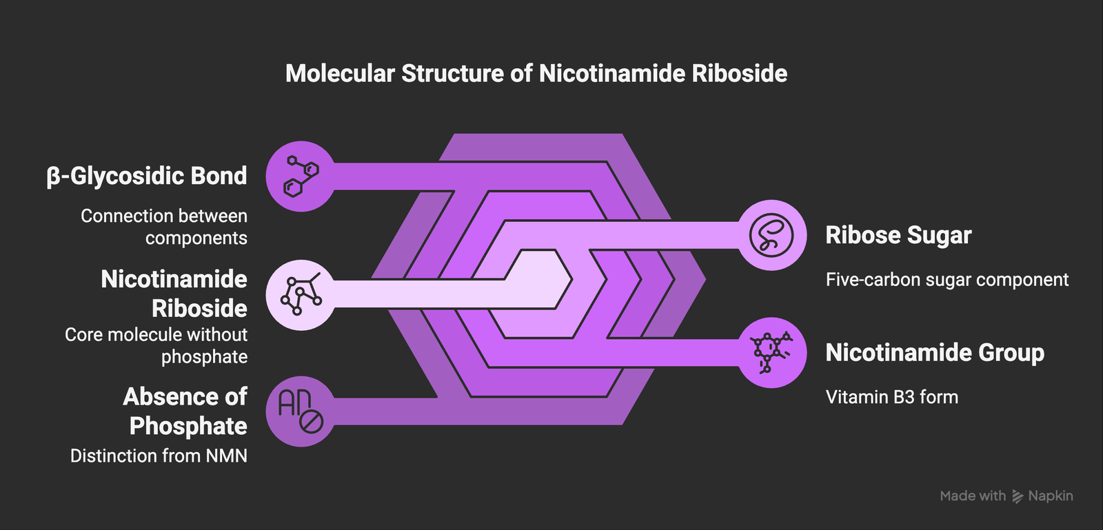 Molecular structure of NR